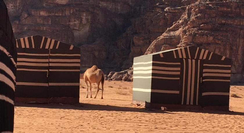 Отель Wadi Rum Desert Heart Camp Экстерьер фото